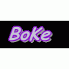 Logo Boke Network Co.,Limited
