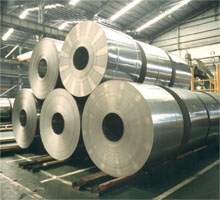 Stainless Coil/Sheet/Plate