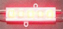 LEDs module