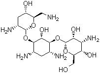 Tobramycin Base