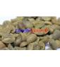 Vietnam coffee bean for sell