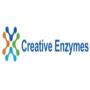 Logo Creative Enzymes