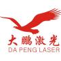 Logo Shenzhen Dapeng Laser Technology Co., Ltd