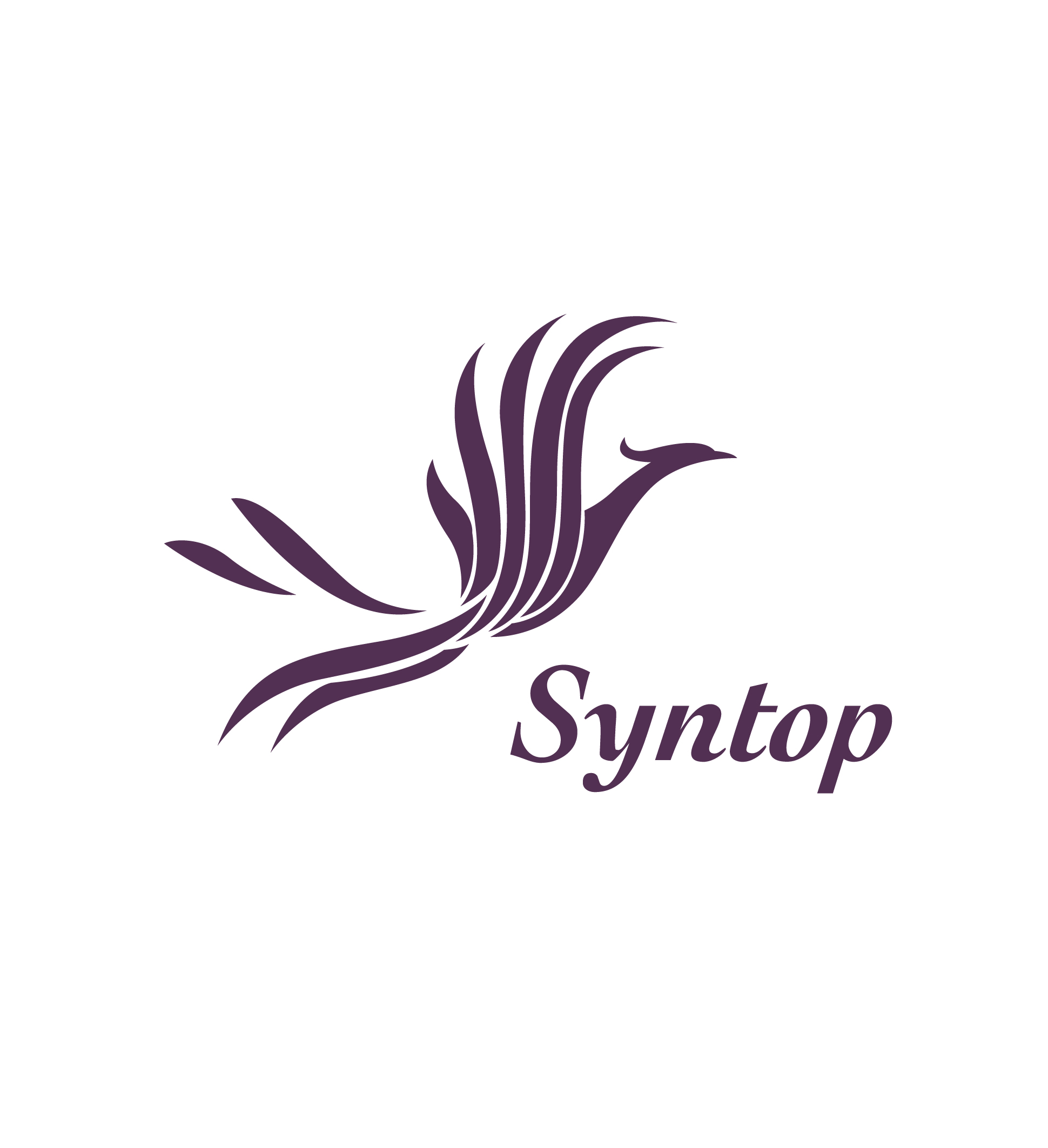 Logo Syntop chemical Co.,Ltd.