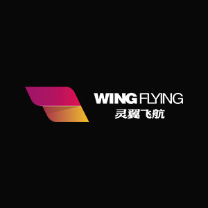 Logo Wing Flying Technologies Co., Ltd.