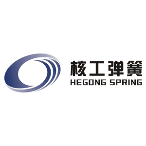 Logo Shanghai Hegong Disc Spring Manufacture Co.,Ltd.
