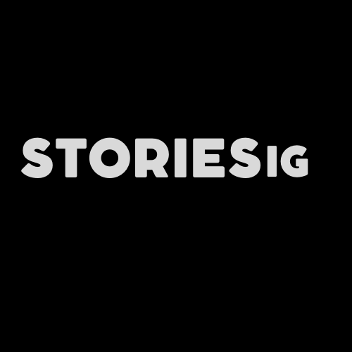 Logo Storiesig