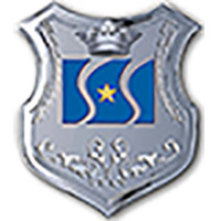 Logo Chinese Threeway Steel Co., Ltd