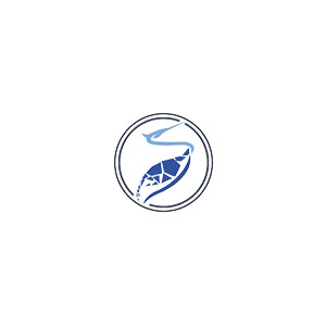 Logo Chengdu Stork Healthcare Co.,Ltd