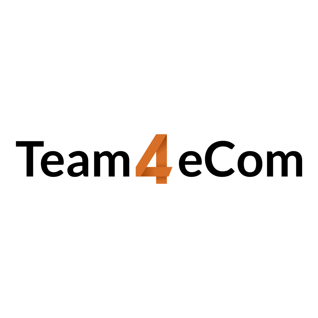 Logo Team4eCom