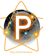 Logo Pentasoft Professional