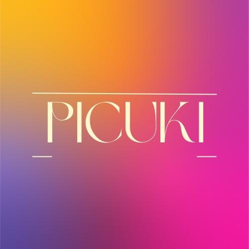 Logo Picuki