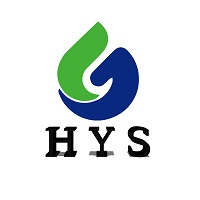 Logo Shijiazhuang Huanyisheng Technology Co., Ltd
