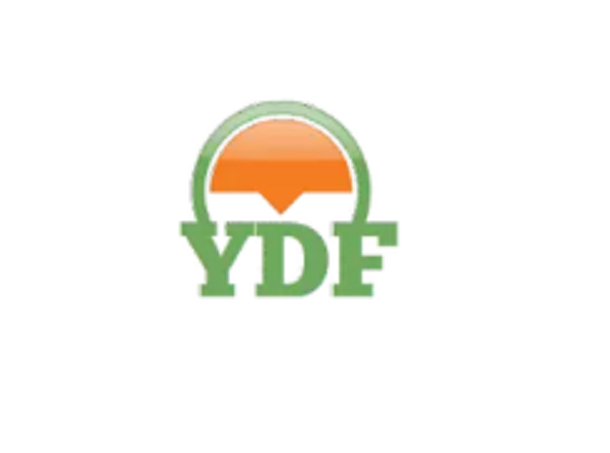 Logo YDF Machinery