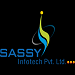 Logo Digital Marketing Services In Surat | sassyinfotech