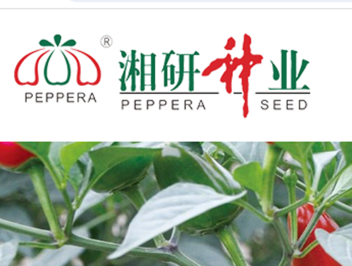 Logo Hunan Xiangyan Seed Industry Co.,Ltd.