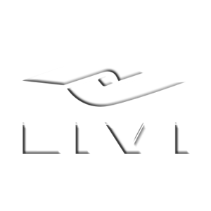 Logo Livi Machinery