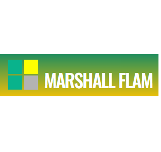 Logo Wordle Limericks By Dr Marshall Flam