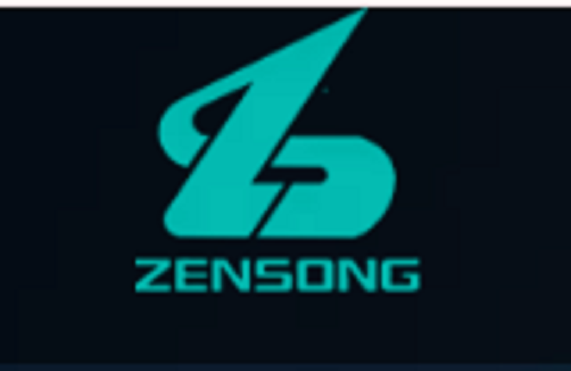 Logo Changsha Zhensheng Group Co., Ltd.