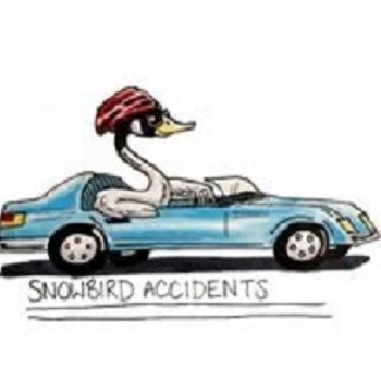 Logo Snowbird Accidents