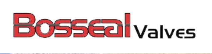 Logo China Bosseal Valves Factory Co., Ltd.