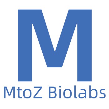 Logo MtoZ Biolabs