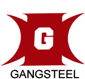 Logo Gangsteel China
