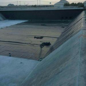 0.6 mm 0.8 mm fish pond liner HDPE  geomembrane low price