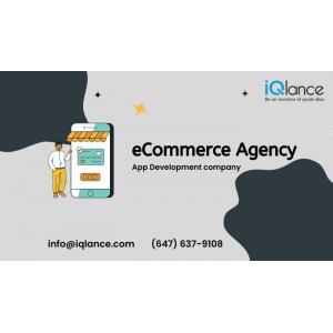 eCommerce Development Company - iQlance