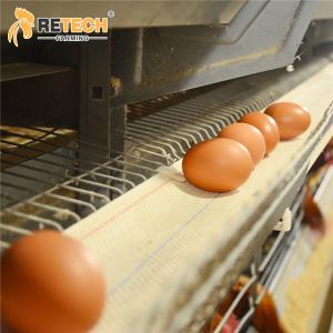 Automatic H type layer battery cage system in Vietnam