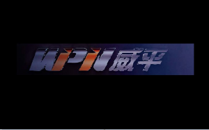 Hunan Weiping Technology and Development Co., Ltd.