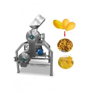Fruit Pulp Machine | Mango Pulper