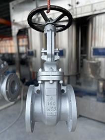 gate valve manufacturer