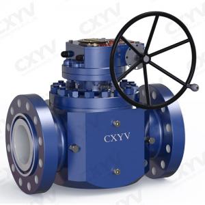 Flanged Top Entry Ball Valve