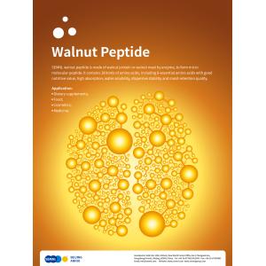 Walnut Protein Manufacturer