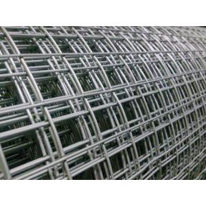 Welded Wire Mesh