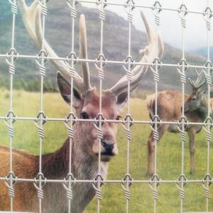 Deer Breeding Net