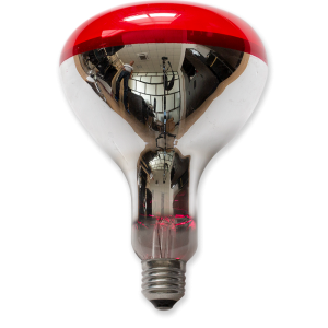 R125 Red Infrared Lamp