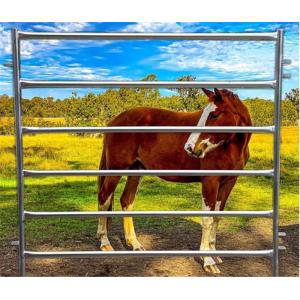 Horse Panel