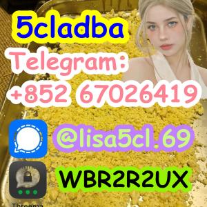Strongest 5cladba Raw Material 5CL-ADB Precursor