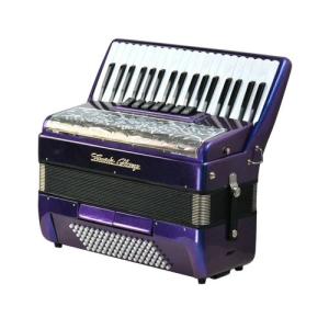 Professional 37 Key 96 Bass Beginner Keyboard Accordion For 