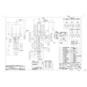 15A SUS-S #208DE11 DC24V KANEKO SOLENOID VALVE