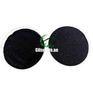 Gilsonite – High-Performance Natural Asphalt Resin
