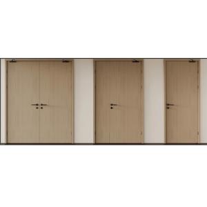 Steel-Wood Composite Fire Door