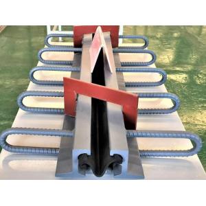 Bridge Strip Seal Expansion Joints