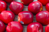 New Zealand Queen Apples