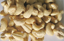Vietnamese Cashew Nuts Kernels LBW 320, LBW240