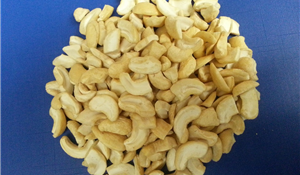 Vietnamese Cashew Nuts Kernels DW, SW, SP, DW, SK