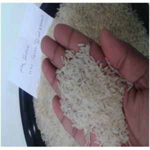 1121 Sella Basmati Long Grain Rice 