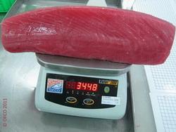 Fish - Seafood Specialist OFCO Inspection Quality 